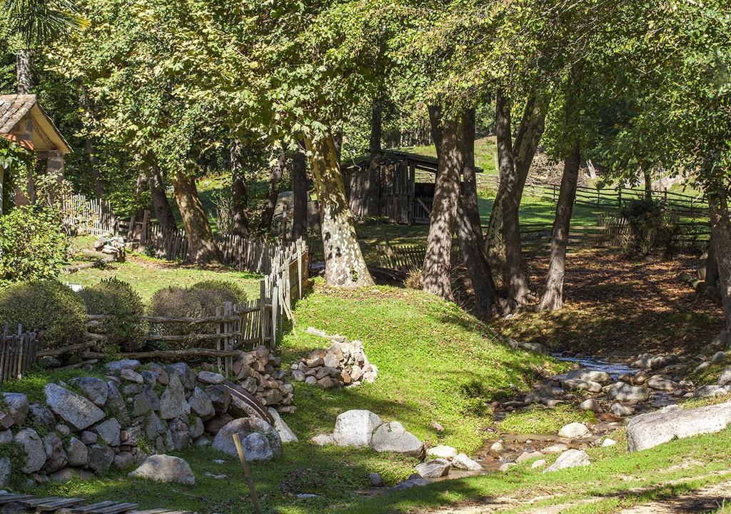 Masia El Moli De Can Aulet Arbucies Exterior photo